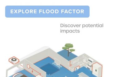 Week #6 Hurricane Season Series:  Do you live in a Flood Zone?