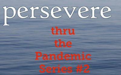 #2 Persevere thru the Pandemic Series:  Lessons from Hurricane Katrina Women Survivors 