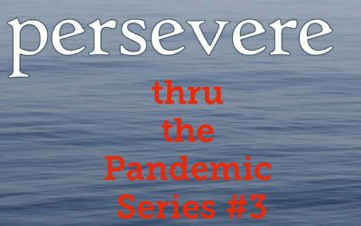 #3 Persevere thru the Pandemic Series: Lessons from Hurricane Katrina women survivors