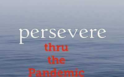 #6 Persevere Thru the Pandemic Series: Two things to help.