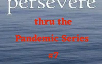 #7 Persevere Thru the Pandemic Series: Words to get thru the Holidays from Hurricane Katrina survivors