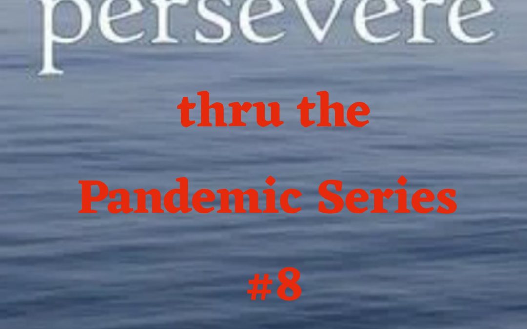 #8 Persevere thru the Pandemic Series – Lessons from Hurricane Katrina Survivors: Your perspective and helping others is key..